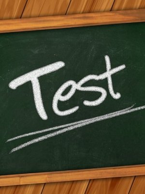 Testas Testauskas